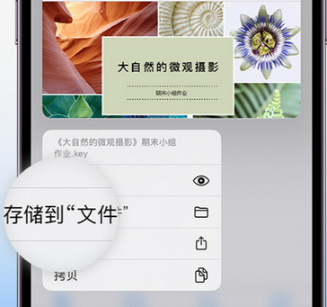 齐干却勒街道apple维修中心分享iPhone文件应用中存储和找到下载文件