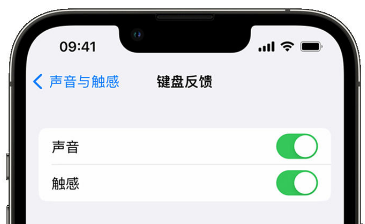 齐干却勒街道苹果手机维修分享iPhone 14触感键盘使用方法 