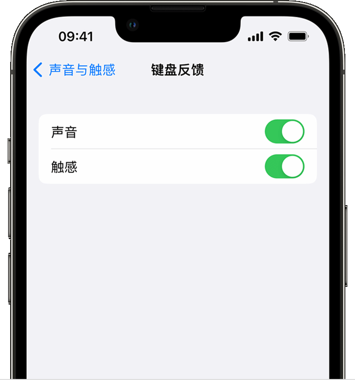 齐干却勒街道苹果14维修店分享如何在 iPhone 14 机型中使用触感键盘 