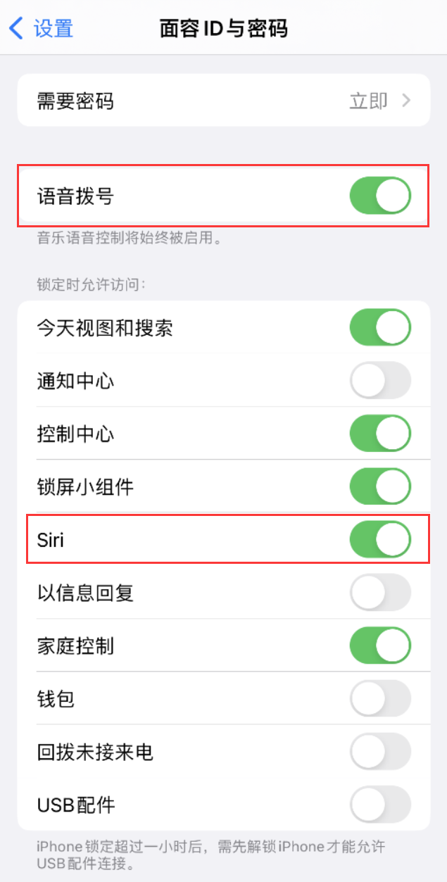 齐干却勒街道苹果维修网点分享不解锁 iPhone 的情况下通过 Siri 拨打电话的方法 