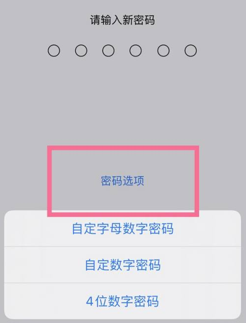 齐干却勒街道苹果14维修分享iPhone 14plus设置密码的方法 