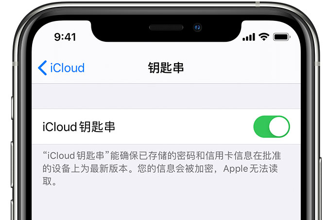 齐干却勒街道苹果手机维修分享在 iPhone 上开启 iCloud 钥匙串之后会储存哪些信息 